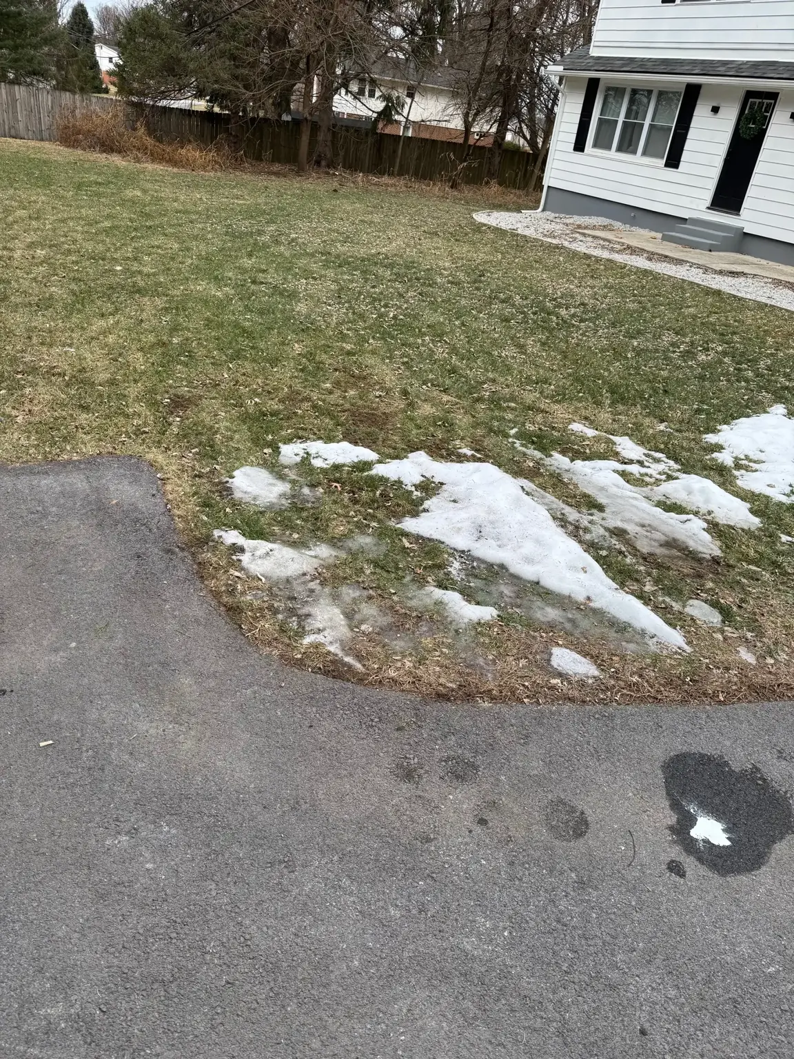 A house and a backyard